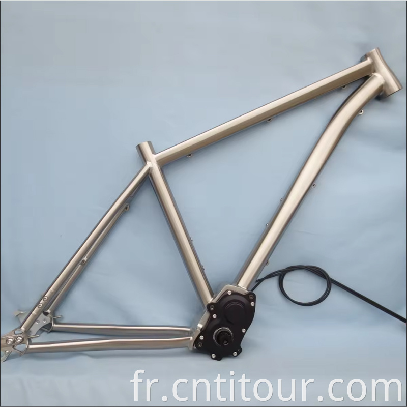 pinion bicycle frame